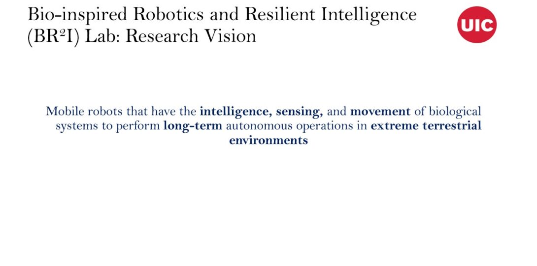 BR2I Lab research vision