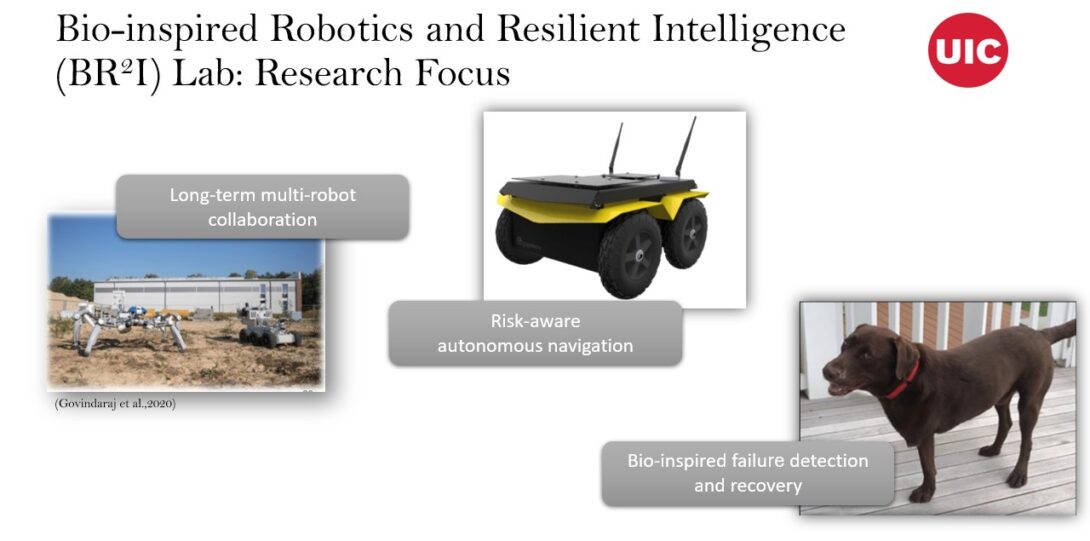 BR2I Lab research focus