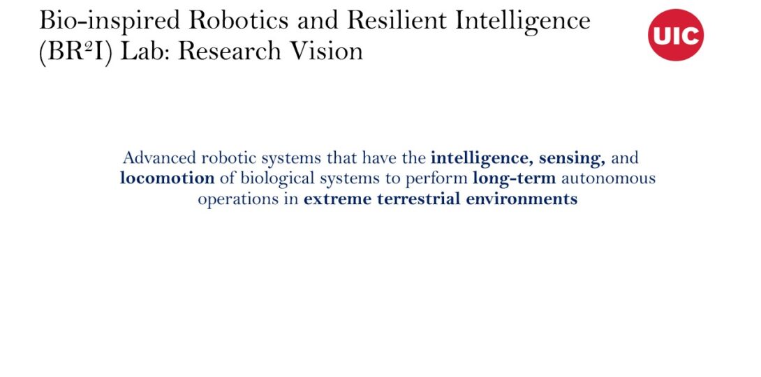 BR2I Lab research vision